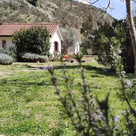 Taverna Centomani Potenza Exteriér fotografie